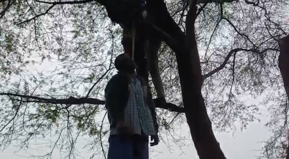 Kashi Ki Aawaz | चंदौली: पारिवारिक कलह और आर्थिक तंगी से परेशान किसान ने फांसी लगाकर दी जान, परिवार में मचा कोहराम