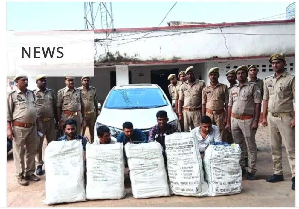 50 लाख का गांजा बरामद, 5 अंतरजनपदीय तस्कर गिरफ्तार। || KashiKiAawaz
